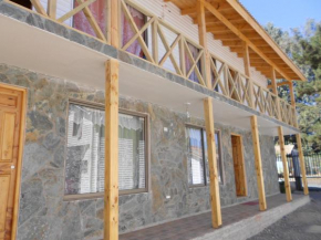  Cabañas Las Palmeras Pichilemu  Пичилему